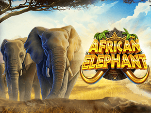 African Elephant game icon
